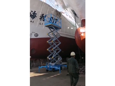 港口升降機(jī)客戶案例